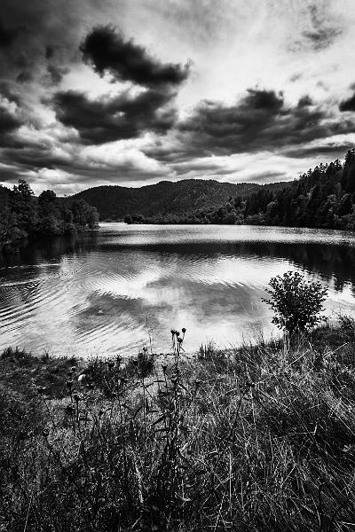 2017_08_21_Vosges (0066)b-w.jpg - Lac de Longemer (Vosges 2017)